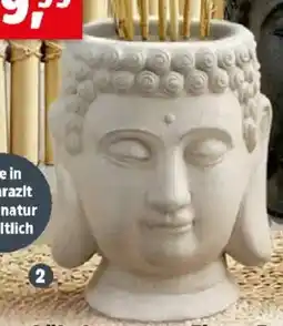 Thomas Philipps Blumenkübel Buddha Magnesia Angebot