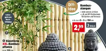 Bambus- stangen