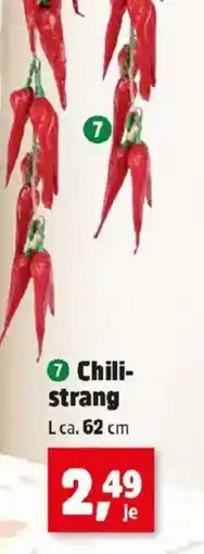 Thomas Philipps Chili- strang Angebot