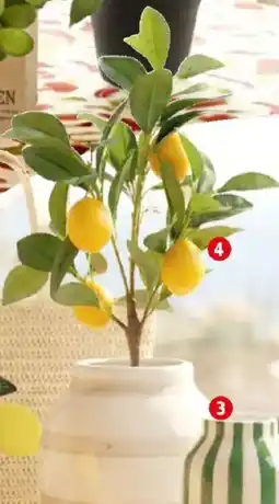 Thomas Philipps Zitronen- baum künstlich Angebot