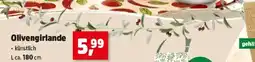 Thomas Philipps Olivengirlande Angebot
