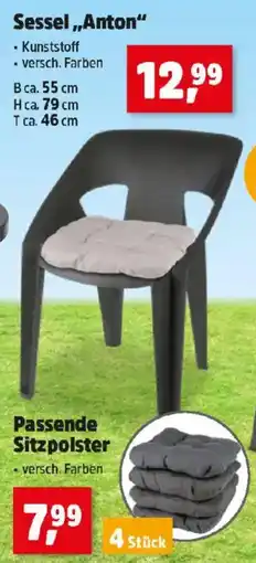 Thomas Philipps Passende Sitzpolster Angebot