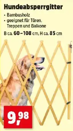 Thomas Philipps Hundeabsperrgitter Angebot