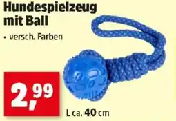 Thomas Philipps Hundespielzeug mit Ball Angebot
