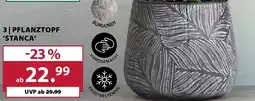 Dehner Pflanztopf stanca Angebot
