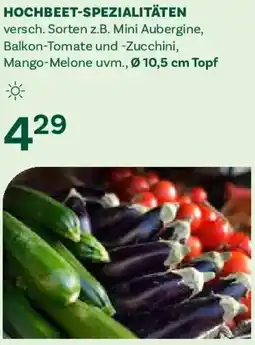 Bellaflora Hochbeet-spezialitäten Angebot