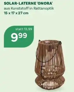 Bellaflora Solar-laterne 'onora' Angebot