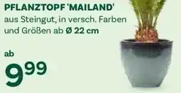 Bellaflora Pflanztopf 'mailand' Angebot