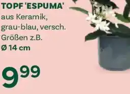 Bellaflora Topf 'espuma' Angebot