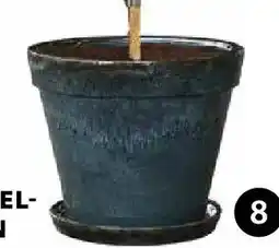 Dehner Pflanztopf leoni Angebot