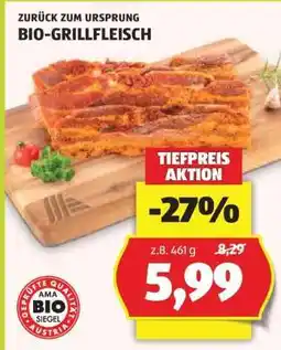 Hofer BIO-GRILLFLEISCH Angebot