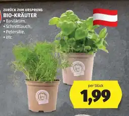 Hofer BIO-KRÄUTER Angebot