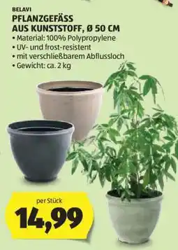 Hofer BELAVI PFLANZGEFÄSS AUS KUNSTSTOFF, Ø 50 CM Angebot