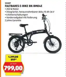 Hofer FALTBARES E-BIKE BK-BM04E Angebot