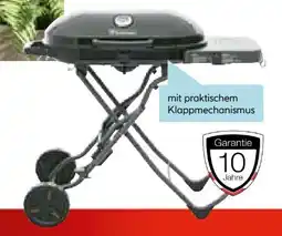 Hellweg Rothmann Gasgrillwagen Go Angebot