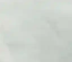 Hellweg Specht Vinylboden SPC Classic Angebot