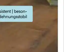 Hellweg Specht Vinylboden SPC Ambiente Angebot