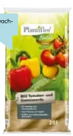 Hellweg Plantiflor Bio Tomaten- und Gemüseerde Angebot
