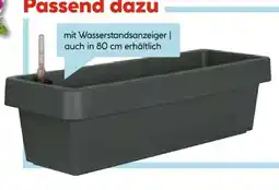 Hellweg Blumenkasten Viva Angebot