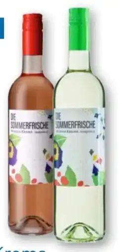 T&G Winzer Krems Die Sommerfrische Angebot