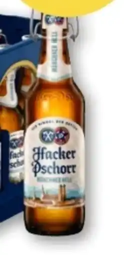 T&G Hacker Pschorr Münchner Hell Angebot