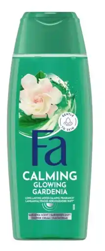 dm Fa Dusche Angebot