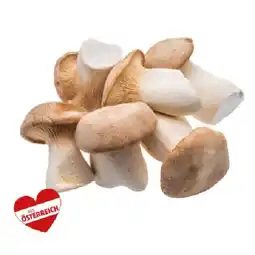 PENNY Kräuterseitlinge Penny Angebot