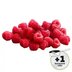 PENNY Himbeeren Penny Angebot