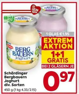 Billa Schärdinger Bergbauern Joghurt div. Sorten Angebot