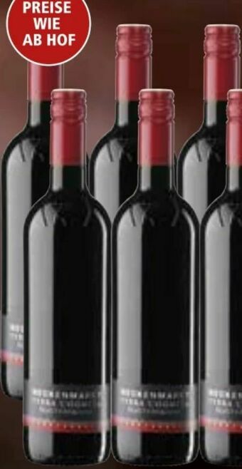 Interspar Terra Cognita Blaufränkisch Angebot