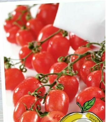 Spar Tomaten Angebot