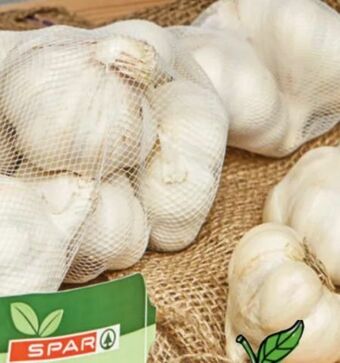 Spar Knoblauch Angebot