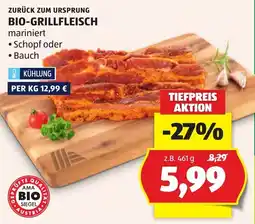 Hofer Bio-grillfleisch Angebot