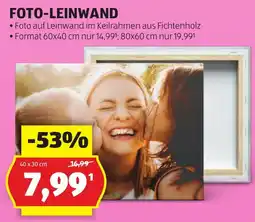 Hofer Foto-leinwand Angebot
