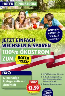 Hofer Hofer grünstrom Angebot