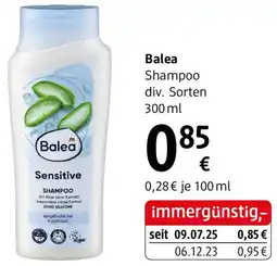 dm Balea Shampoo Angebot