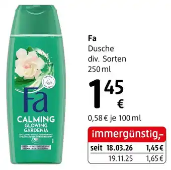 dm Fa Dusche Angebot