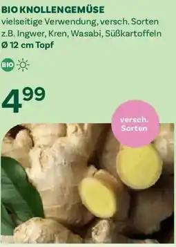 Bellaflora Bio knollengemüse Angebot