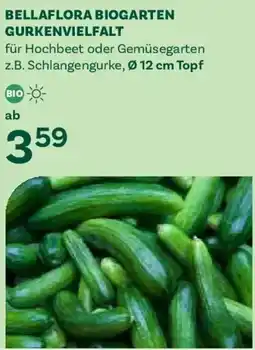 Bellaflora Bellaflora biogarten gurkenvielfalt Angebot