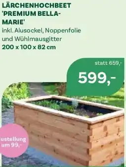 Bellaflora Lärchenhochbeet premium bella- marie Angebot