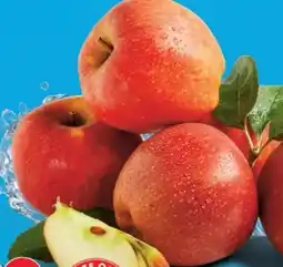 Lidl Bio Mini Äpfel Angebot