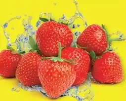 Lidl Erdbeeren Angebot