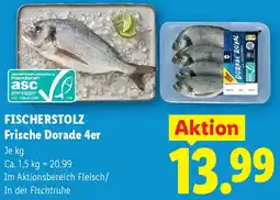 Lidl Fischerstolz frische dorade Angebot