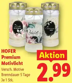 Lidl Hofer Premium Motivlicht Angebot