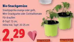 Lidl Bio-Snackgemüse Angebot