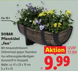 Lidl Dobar Pflanzkübel Fass Angebot