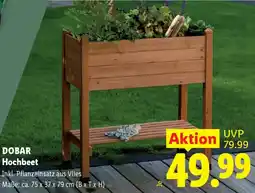 Lidl Dobar Hochbeet Angebot
