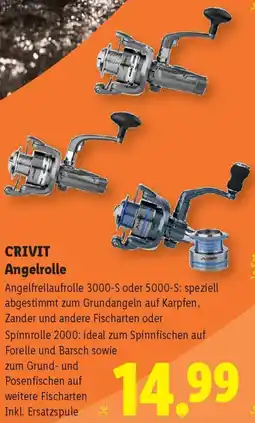 Lidl Crivit Angelrolle Angebot