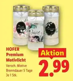 Lidl Hofer Premium Motivlicht Angebot