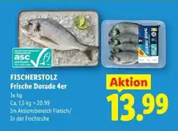 Lidl Fischerstolz Frische Dorade 4er Angebot